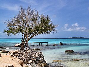 Archivo:Los Roques Venezuela