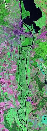 Archivo:Miedzyodrze - satellite view