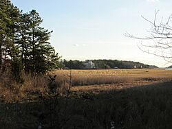 Monomoscoy Island, Mashpee MA.jpg