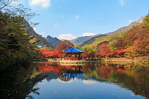 Archivo:Naejangsan Pavilion 1