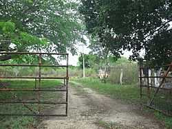 Nohchán, Yucatán (01).jpg