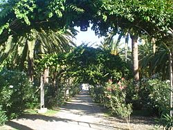 Archivo:Parque Garcia Sanabria Santa CruzTenerife