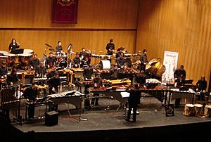 Archivo:Percujove Concierto en el teatro Jovellanos Gijon 2006