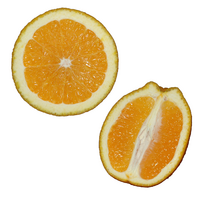 Archivo:Perpendicular orange