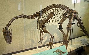Archivo:Plateosaurus trossingensis