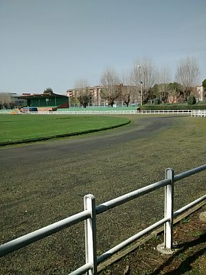 Archivo:Polígono Municipal de Venta de Baños, lugar de inicio y finalización del Cross Internacional de Venta de Baños