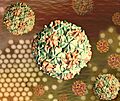 Polio Virus - 52287171002