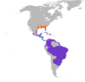 Porphyrio martinica map
