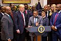 President Donald J. Trump Signs an Executive Order (31353270667)