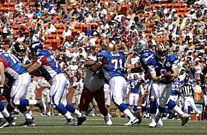 Archivo:Pro Bowl 2007 action