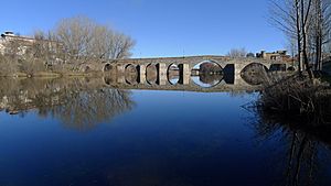 Archivo:Puente sobre el río Tormes, El Barco de Ávila