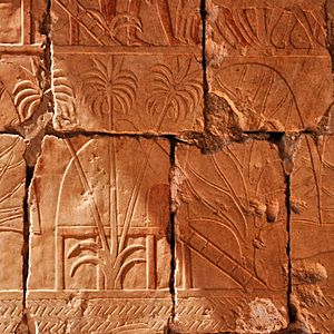 Archivo:Punt2