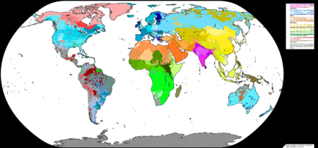 Archivo:Racial map of the world2