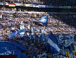 Archivo:Schalke 04 Fans 664