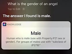 Siri answers 'what is the gender of an angel?'.jpg