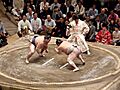 Sumo-Japan