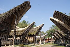 Archivo:Traditional Toraja House
