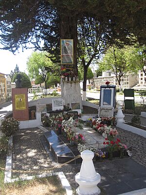 Archivo:Tumba Carlos Palenque - Cementerio General La Paz