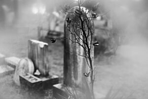 Archivo:Union Graveyard III