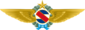 Uruguayan Air Force wings