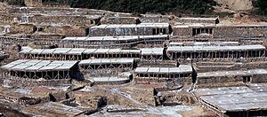 Archivo:Vallesaladoanana