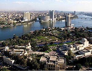 Archivo:View from Cairo Tower 31march2007