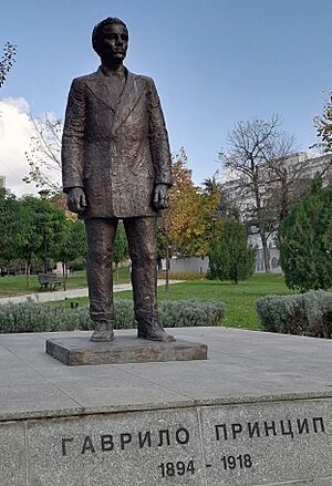 Archivo:Свјетлопис споменика србског осветника, јунака и мученика Гаврила Принципа у Биограду