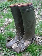Aigle-mud 022