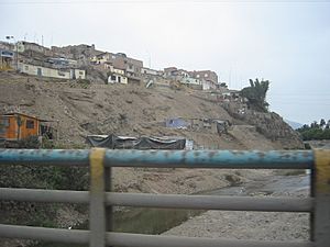Archivo:An area in Lima (districts of Pachacamac and Villa El Salvador) (4206371000)