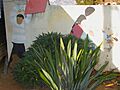 Antunez Nemesio - Mural n16, MaCA detalle 07