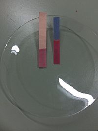 Archivo:Blue and Red litmus papers in acid solution