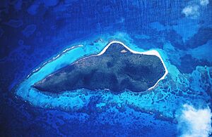 Archivo:BuckIslandReedNM