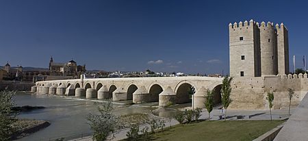 Archivo:Córdoba-Puente Romano-Vista del Molino de la Calahorra-20110916