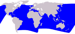 Distribución geográfica del delfín listado.