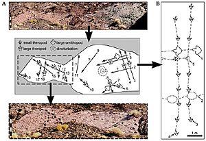 Archivo:Dinosaur tracksite - Chacarilla Formation, Chile