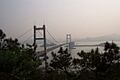 Dongguan007