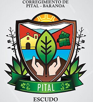 Archivo:ESCUDO PITALERO