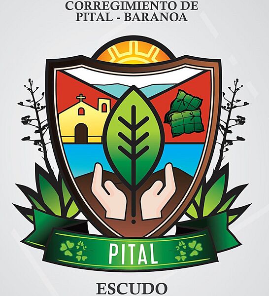 ESCUDO PITALERO
