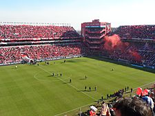 Archivo:Estadio Libertadores de America 2014