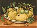 Giovanna Garzoni (Italian) - Still Life with Bowl of Citrons - Google Art Project