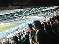 Glorioso Deportivo Cali TIFO vs Peñarol 11