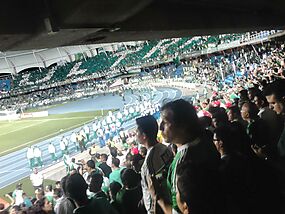 Archivo:Glorioso Deportivo Cali TIFO vs Peñarol 11