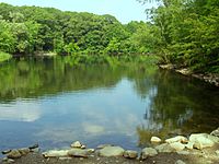 Archivo:Hill's Pond, Monotomy Rocks Park, Arlington,Massachusetts
