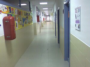 Archivo:Interior pabellon primaria