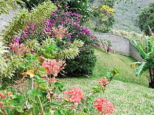 Archivo:Jardin en el Junko