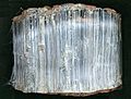 Krokydolith - Mineralogisches Museum Bonn (7385)