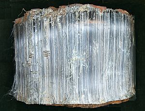 Archivo:Krokydolith - Mineralogisches Museum Bonn (7385)