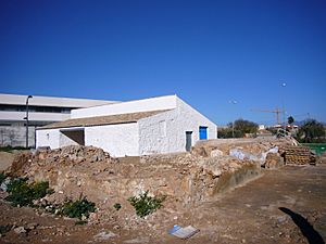 Archivo:La Almazara (San Vicente del Raspeig)