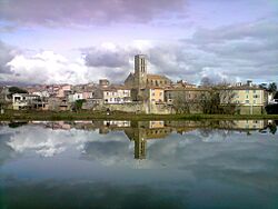 Lac de Trèbes.jpg