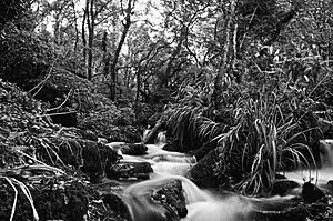 Archivo:Lamorna Cove Cornwall B&W (3984620262)